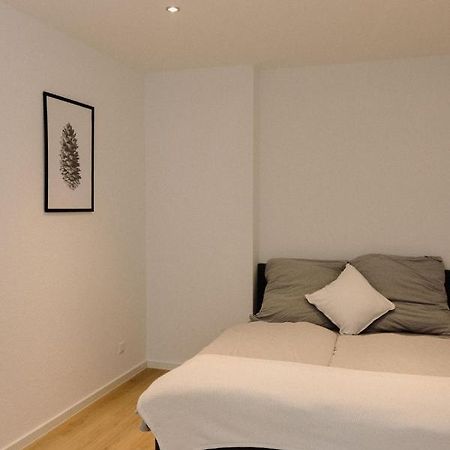 130M² Apartment Im Zentrum + Terrasse Leipzig Eksteriør bilde